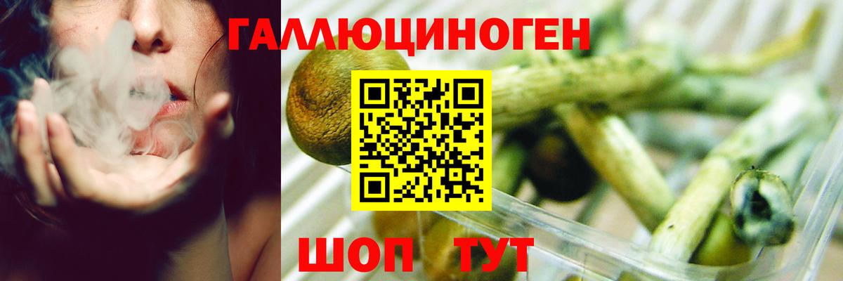 Псилоцибиновые грибы мицелий  Вход с VPN  где можно купить наркотик  Мелеуз 